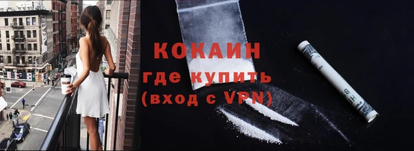 ПСИЛОЦИБИНОВЫЕ ГРИБЫ Богданович