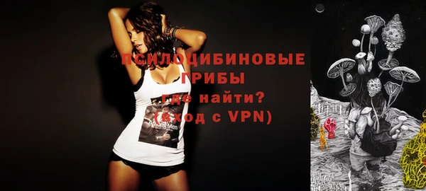 ПСИЛОЦИБИНОВЫЕ ГРИБЫ Богданович
