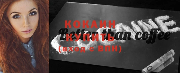 индика Богородицк
