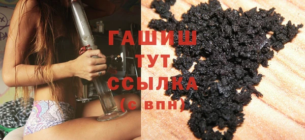 индика Богородицк