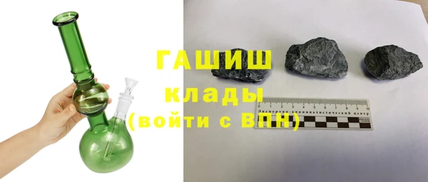 индика Богородицк