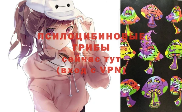 СК Белокуриха