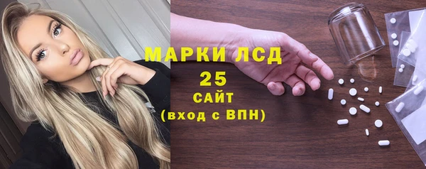 ПСИЛОЦИБИНОВЫЕ ГРИБЫ Богданович